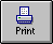 Print Button