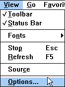 MSIE View Options