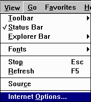 MSIE View Options