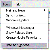 MSIE View Options