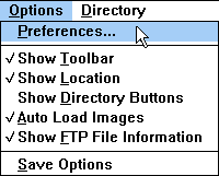 Netscape options