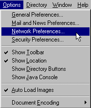 Netscape options