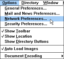 Netscape options