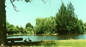 Chcara7.JPG (15615 bytes)
