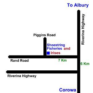 Cwiris13.JPG (10358 bytes)