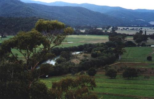 Mitta1.JPG (23887 bytes)